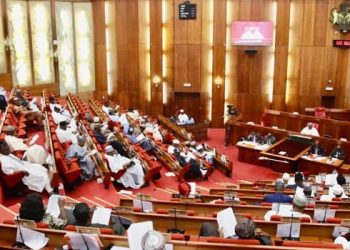 Employment Opportunities: Senate calls for Age review for Job seekers
