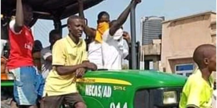 Hoodlums Customs office in Adamawa