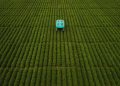 Google reveals Mineral crop-inspecting robots