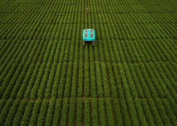 Google reveals Mineral crop-inspecting robots