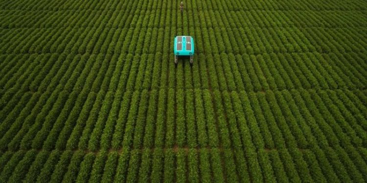 Google reveals Mineral crop-inspecting robots