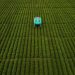 Google reveals Mineral crop-inspecting robots