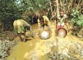 GOLD: Investors’ interest growing in Nigeria’s value chain — PAGMI