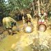 GOLD: Investors’ interest growing in Nigeria’s value chain — PAGMI
