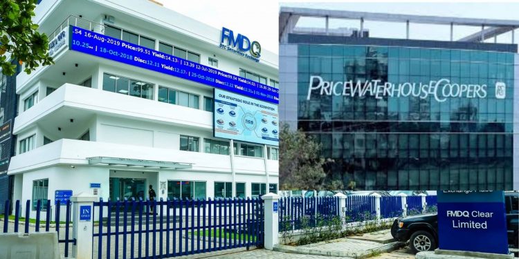 Financial Centre for Sustainability and PwC Nig. Hold Capacity Building Webinar tagged ‘Building SDGs into Nigeria’s Path Forward’