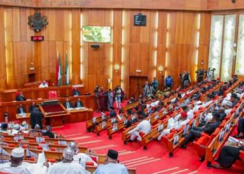 Senate passes Finance Bill 2020