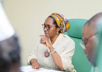 No provision for Fuel, Electricity subsidies in 2021 – Minister