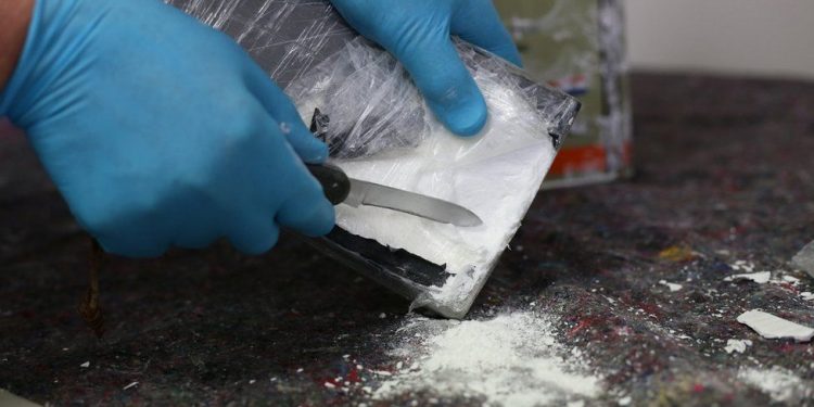 Cocaine ‘worth billions’ seized in Germany and Belgium
