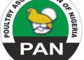 Poultry Association urges FG to ban export of Maize