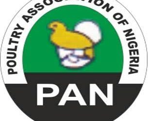 Poultry Association urges FG to ban export of Maize