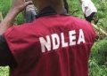 NDLEA Boss threatens to send Drug Barons, Traffickers to Jail