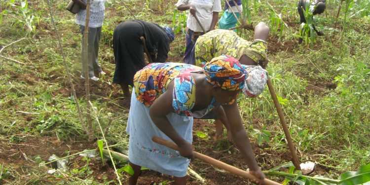 FG sets up registration portal for 10 million farmers