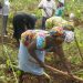FG sets up registration portal for 10 million farmers