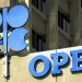 OPEC members lost $1trn in 2 years to price slump – Barkindo