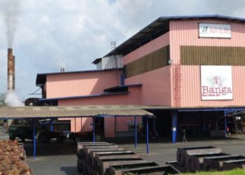 Okomu Oil Palm makes N7.78b profit, okays N7 dividend payout