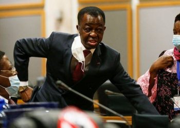 Pan-African Parliament: Punches, Kicks, and death threats
