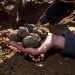 A Pioneer of South Africa’s Budding Truffle Cultivation Industry