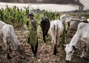Anglican bishops back South governors, warn open grazing will cause food shortage