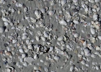 Archaeologists Discover the World’s Oldest Jewelry in Moroccan Desert