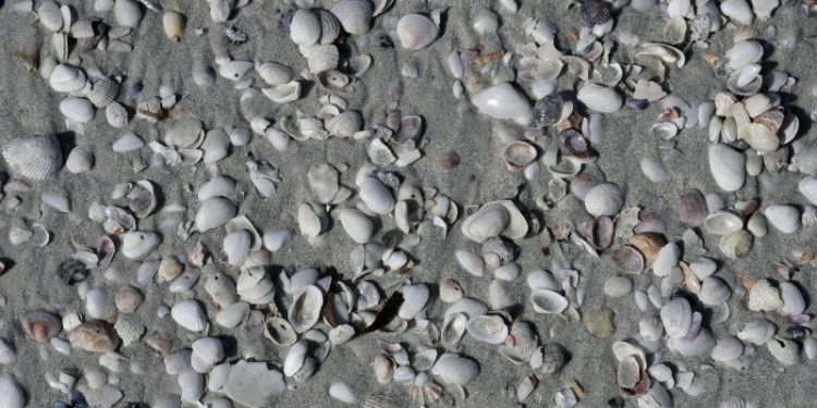 Archaeologists Discover the World’s Oldest Jewelry in Moroccan Desert