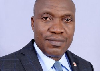 Foreign Direct investment: Nigeria must out-compete China, India, Vietnam, others -Chukwu