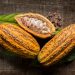 Nigeria’s cocoa value chain receives US $22m boost