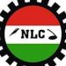 NLC urges government to mitigate flood menace