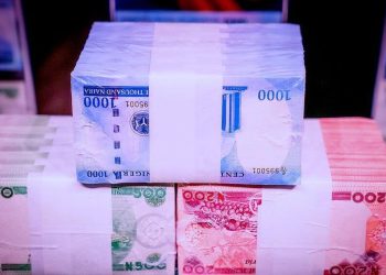 N165bn back in banks as Buhari unveils redesigned Naira