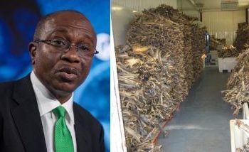 CBN defends forex ban on stockfish importation