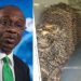 CBN defends forex ban on stockfish importation