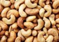 NCAN: Nigeria can Earn over $2.7bn Annually from Cashew Production