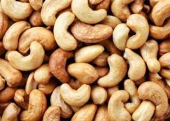 NCAN: Nigeria can Earn over $2.7bn Annually from Cashew Production