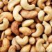 NCAN: Nigeria can Earn over $2.7bn Annually from Cashew Production
