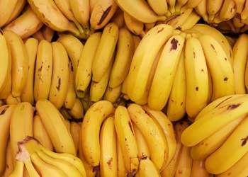 Agricbusiness: Banana waste is now becoming a vital economic and environmental opportunity in Uganda