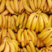 Agricbusiness: Banana waste is now becoming a vital economic and environmental opportunity in Uganda