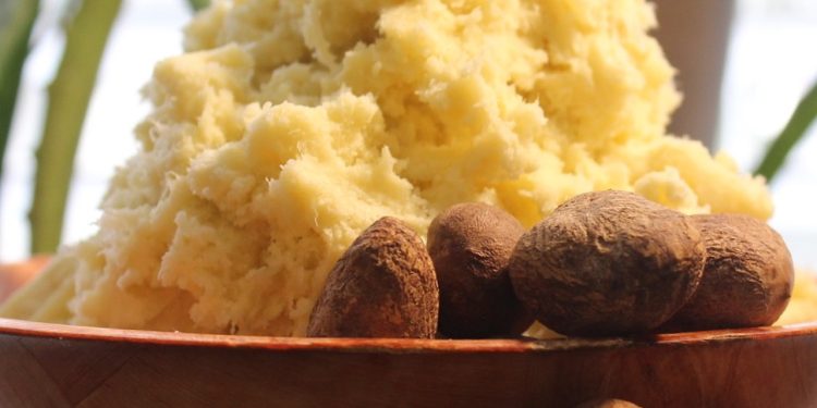 FG Makes Move to Export Shea Butter, Others to US