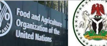 FG, FAO sign agreement on implementation of $99.5m new framework