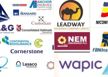Insurance Operators Face Challenges Amid Economic Downturn and Naira Depreciation