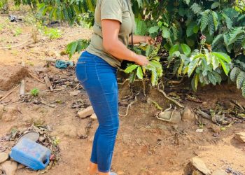 Unearthing the Essence of Coffee: Ivy Wereh’s story as CEO CafeMagnifico