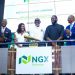 ‘Nollywood can further boost retail investor activity in capital market’ -Temi Popoola, CEO NGX