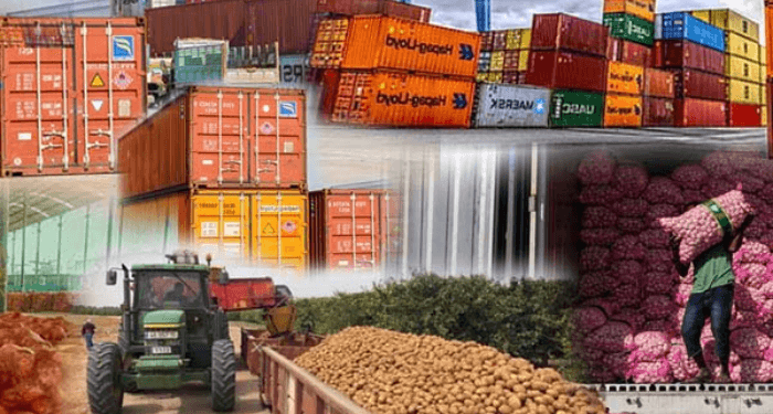 Cocoa Exports Reach N1.24 Trillion in 2023, Boosting Agricultural in Nigeria