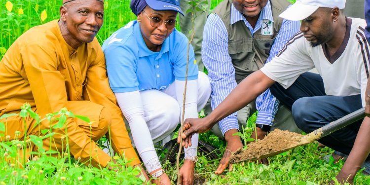 FirstBank, NCF Launch Tree Planting Initiative In FCT To Combat Climate Change