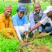 FirstBank, NCF Launch Tree Planting Initiative In FCT To Combat Climate Change