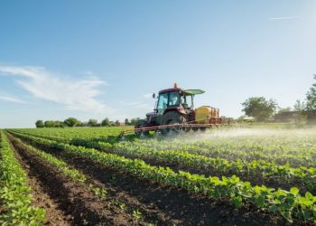 China to Replicate Agro-Industrial Transformation in Nigeria Within Five Years