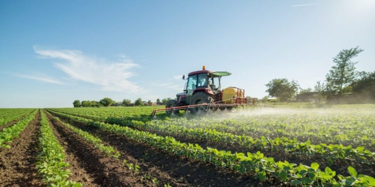 China to Replicate Agro-Industrial Transformation in Nigeria Within Five Years