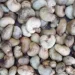 Nigeria Donates Cashew Seeds to Ethiopia, Deepens Agricultural Diplomacy
