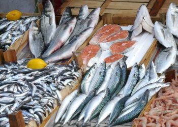 FG Targets $1.5 Billion Annual Savings with Bold Push for Local Fish Production
