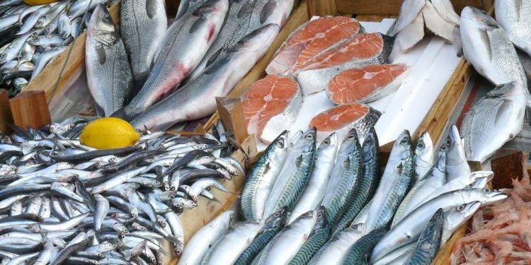 FG Targets $1.5 Billion Annual Savings with Bold Push for Local Fish Production