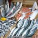FG Targets $1.5 Billion Annual Savings with Bold Push for Local Fish Production