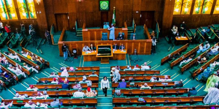 Reps Urge FG to Settle €1.1m Outstanding Debt to OACPS